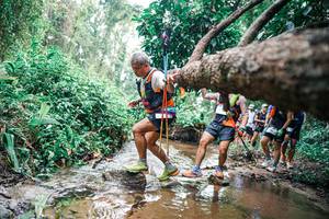 BIB: 
                            <button type="button" onclick="openModal(25375455)" class="btn btn-primary btn-sm float-right btn-popup" data-toggle="modal" data-target=".modal-high-quality">
                        <i class="fas fa-shopping-cart"></i> Add to Cart
                    </button>
                                            <button type="button" onclick="isThisMe(25375455, true)" class="btn btn-success btn-sm float-right btn-popup btn-isme hidden" data-toggle="tooltip" data-placement="bottom" title="นี่คือรูปของคุณใช่ไหม คลิกที่นี่เพื่อเอาเข้าอัลบั้ม">
                        <i class="fas fa-plus"></i> Add to album
                    </button>
                    <button type="button" onclick="isThisMe(25375455, false)" class="btn btn-warning btn-sm float-right btn-popup btn-isnotme hidden">
                        <i class="fas fa-ban"></i> Remove from album
                    </button>